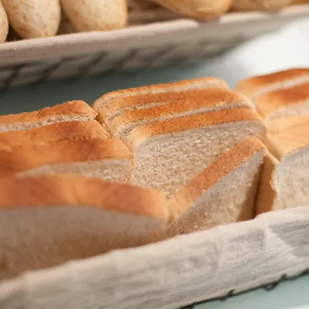 Silken Rona Dalba Ξενοδοχείο