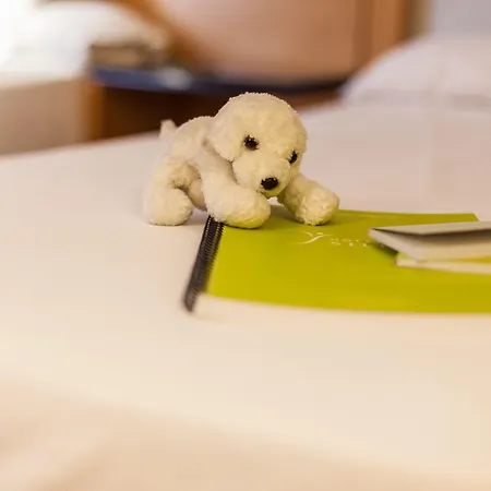 Silken Rona Dalba Ξενοδοχείο 3*