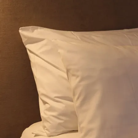 Hotel Silken Rona Dalba 3*
